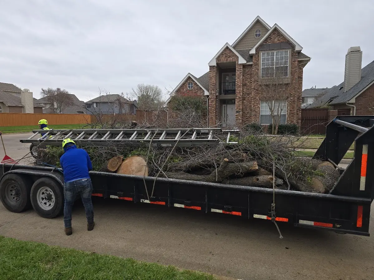 Expert Lot Clearing with proper safety equipment in Dayton